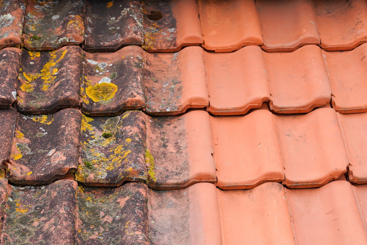 Comparison roof top before and after cleaning moss lichen high pressure water cleaner tile